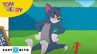 Tom i Jerry Show | Zwycięzca bierze wszystko | Cartoonito