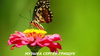 Музыка Для Души ,,ПОЛЁТ ФАНТАЗИЙ ,,Музыка Сергей Грищук