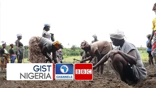 How Female Farmers Are Ensuring Food Security In Sierra Leone