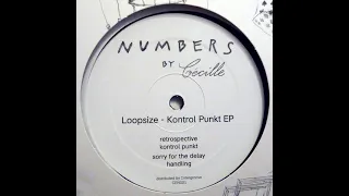 Loopsize - Kontrol Punkt