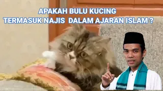 APAKAH BULU KUCING TERMASUK NAJIS DALAM AJARAN ISLAM ? || Ustadz Abdul Somad,Lc