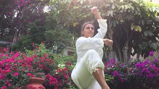 Shaolin Qigong 13 Luohan Style