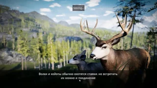 Hunting Simulator -"Упрямство мула"