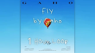 Fly by Gaho 1 Hour Loop