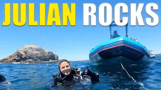 Scuba Diving JULIAN ROCKS In Byron Bay With INSANE Biodiversity!