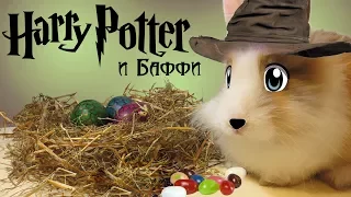 BUFFY at Hogwarts! We make smelly beans! Entertainment for children !!