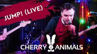 Cherry Animals - Jump! (live)