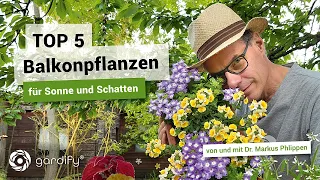 TOP 5 Balkonpflanzen für jeden Standort, pflegeleicht und farbenfroh | gardify Tipps