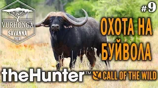 theHunter Call of the Wild #9 🔫 - Охота на Буйвола - Штуцер - Африканский Буйвол