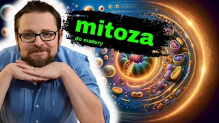 Cykl komórkowy | Mitoza | Podział komórki | Interfaza | Fazy mitozy | G1 | S | G2 | Kariokineza