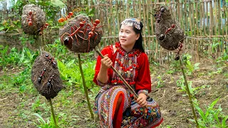 Amazing Harvesting Ant Eggs - Cook And Enjoy The Rural Specialty Ant Egg Cake