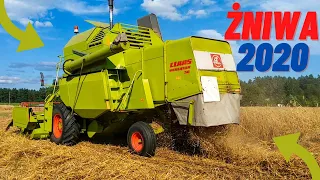 🔥🔥 🌾Żniwa 2020🌾 ||Claas Mercator 50||Ursus c 330||Autosan D- 450|| [KONKURS FILMOWY CLAAS] 🔥🔥