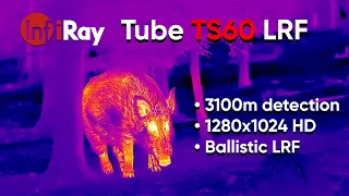 Experience thermal like never before - Infiray Tube TS60 HD LRF Thermal Riflescope