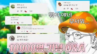 [메이플스토리] 만 명 기념 Q&A 핑계 대고 지 하고 싶은 말 다하는 사람