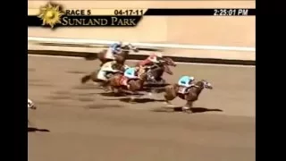 Quarter Horse World Record in 300 yards | Valiant War Hero