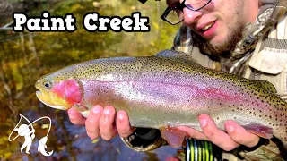 Paint Creek Holds Big Trout! | Fly Fishing East Tennessee