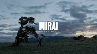 Mirai in the Wild: The Rockies