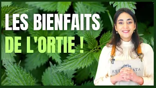 Les bienfaits de l'ortie : Détox, anti-inflammation, beauté et délices culinaires !