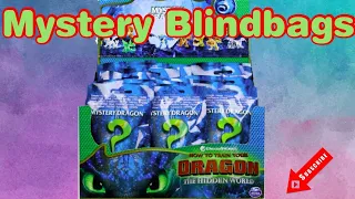 How to train your dragon Hidden World mystery bags #11#