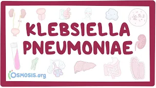 Klebsiella pneumoniae - an Osmosis Preview