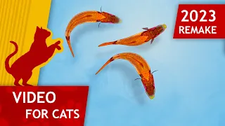 🐱Cat Games - 🐟 Catching Fish Remake 2023 (Video for Cats to watch) 4K