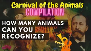 Songs from Carnival of the Animals Compilation - Most famous clips by Saint Saens