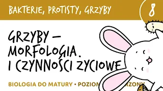 Grzyby - morfologia i czynności życiowe - Bakterie, grzyby, protisty 8 - matura z biologii liceum