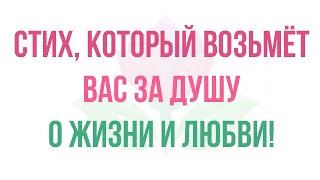 Стих, который возьмёт Вас за душу — о жизни и любви!