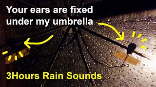 It's raining on your umbrella | Rain sounds for sleeping |빗소리 Rain Walk DEC 2021| ASMR