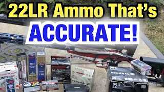 What’s the most accurate ammo 22LR ammunition?