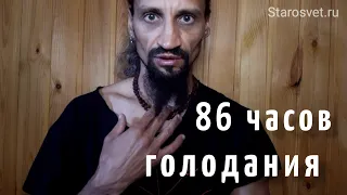 86 часов голодания. Подведение итогов | Алгиз Старосвет, Путь Жизни