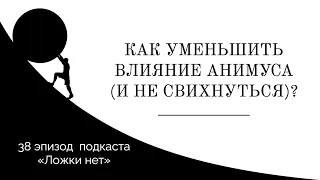 38. Как уменьшить влияние Анимуса (и не свихнуться)?