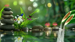 Peaceful Bamboo Music -  Healing  Piano Music, Relaxing Music, Nature Sounds, Bamboo Music