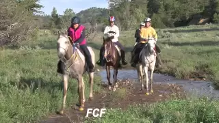 The Fort Howes Montana 100-mile Horse Endurance Ride June 11, 2011