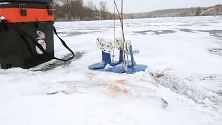 10 МИНУТ И РЫБАЛКА УДАЛАСЬ! Ловля Щуки на Жерлицы