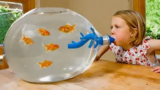 Unbelievable Home Aquariums