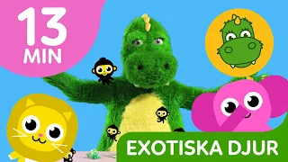 Bolibompa Mini: Mixade favoriter: Exotiska djur - 13 minuter