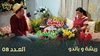 السلسلة الفكاهية "ريشة وباندو" العدد 08