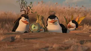 The Penguins' robbery ( Madagascar 2) in hindi