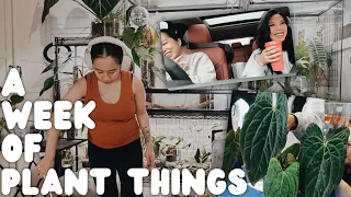 almost 3 hours of plant chores! selling plants, florida beauty chop + Q&A - week of plant things #23