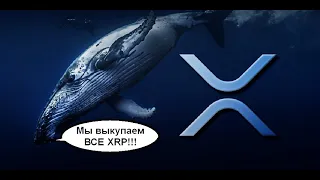 КИТОВЫЕ НАБЕГИ НА XRP!! | Документы Хинмана будут обнародованы!!!