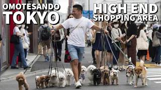 TOKYO'S Luxury Shopping Street OMOTESANDO Street View Adventure Tour