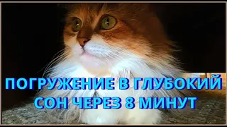 Усыпляющая музыка для кошек котов и котят Колыбельная для котят Расслабляющая кошачья музыка