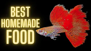 Guppy Fish Care - Best Homemade Guppy Food – DIY Fish Food