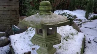 ASMR Japanese winter garden