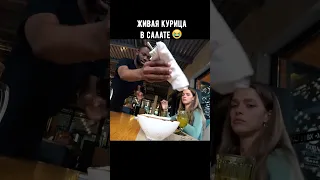 Очень свежая курица в салате @stas.yornik