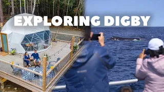 Digby & Area | Whale Watching, Brier Island, Sissiboo Glamping Domes!