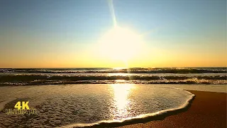 4K |Golden sunrise at the beach sounds for sleeping with seagulls 30 min. Relaxing morning sea sound