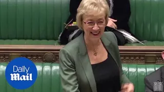 Andrea Leadsom shows off her 'flounce' in the Commons