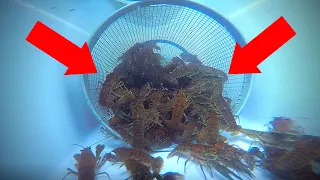 How to Catch Crawfish (UNDERWATER GoPro View!)